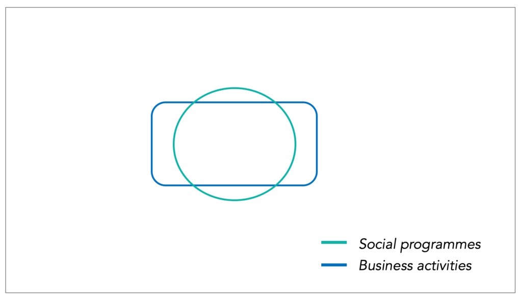 organizational structures for social enterprises, embedded, integrated, separated